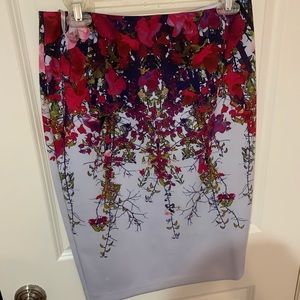 Ted Baker Skirt